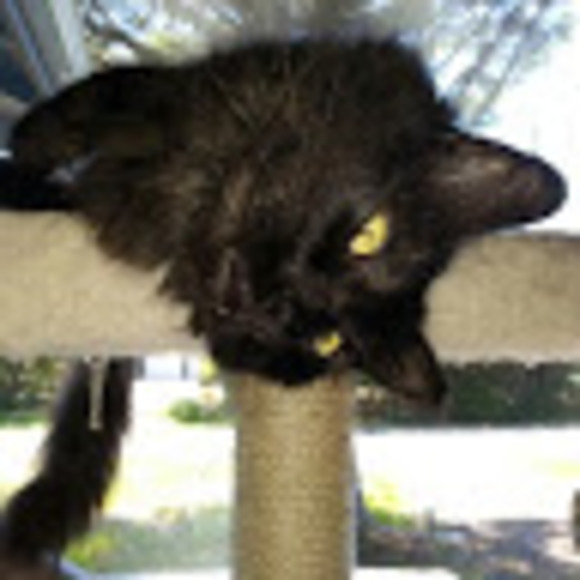 Meet your Posher, Steve and Katie - Picture 1 of 1